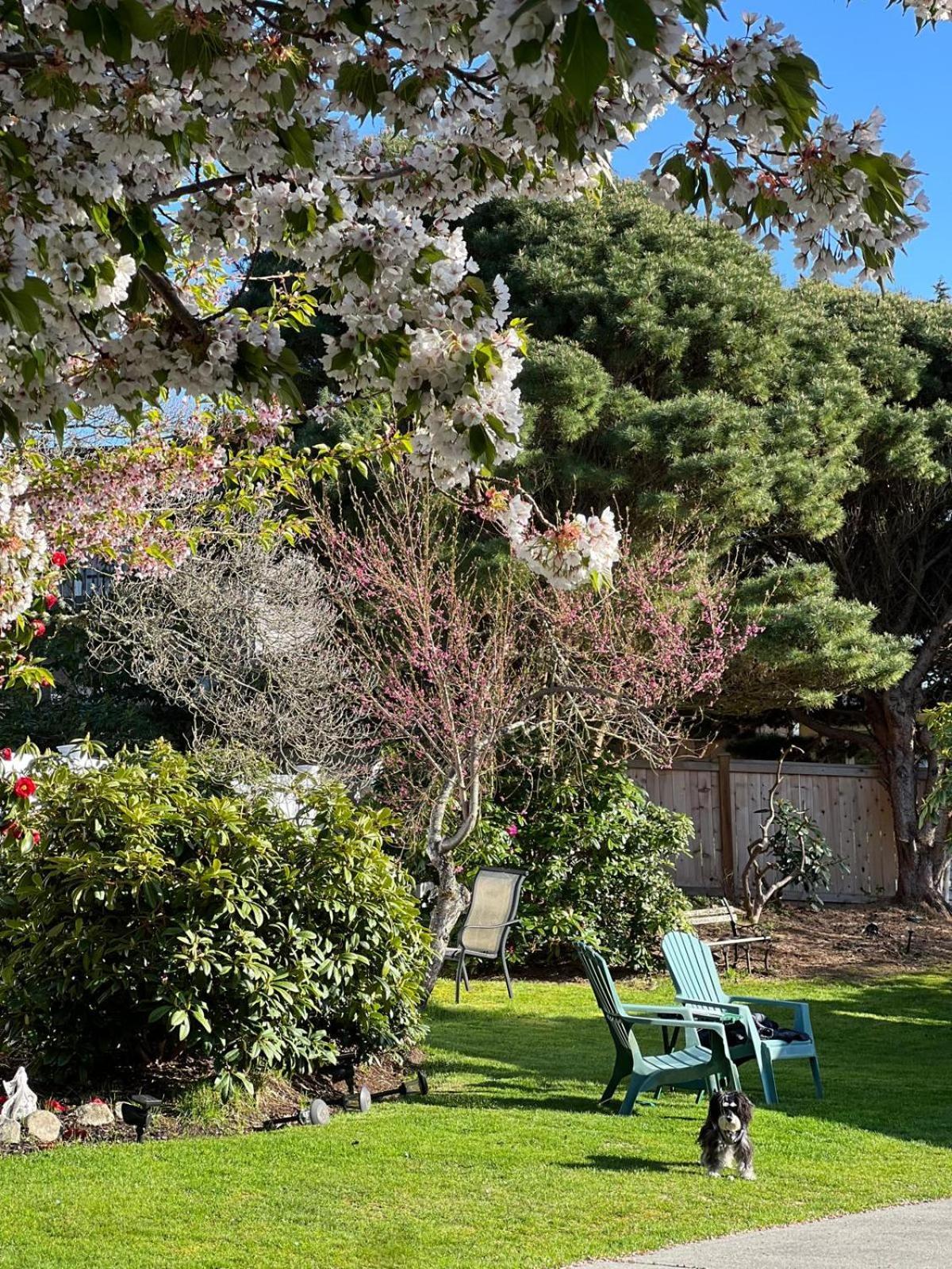 Villa Rivarola Edmonds Dış mekan fotoğraf
